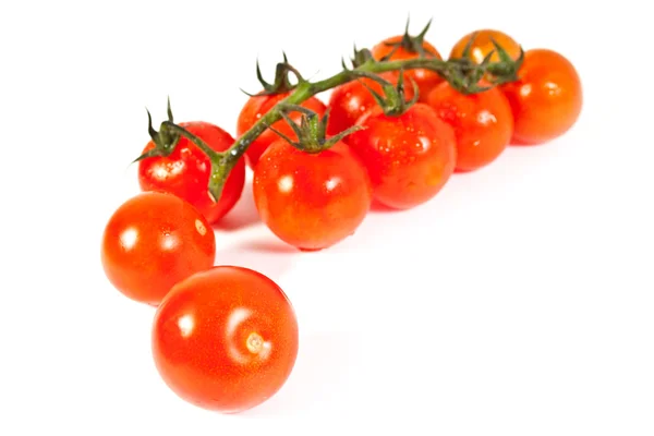 Birçok domates — Stok fotoğraf