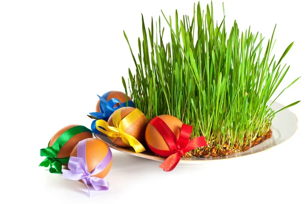 Eggs in the grass — Stock Photo, Image