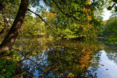 Autumn landscape with pond clipart