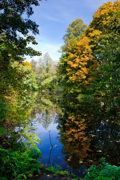 Jesień krajobraz z stawem — Zdjęcie stockowe