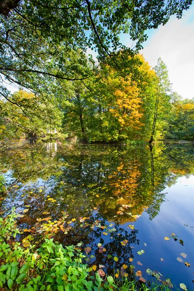 Autumn landscape with pond — Stock Photo, Image