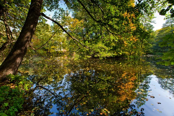 Autumn landscape with pond — Stock Photo, Image