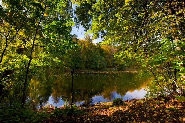 Sonbahar yatay, gölet — Stok fotoğraf