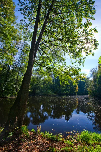 Herbstlandschaft mit Teich — Stockfoto