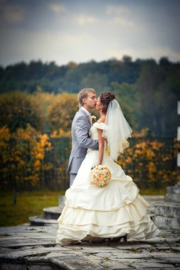 Portrait of newlyweds in in moscow estate clipart