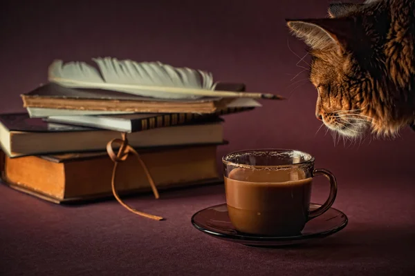 Still life with books and cup of coffee — Stock Photo, Image