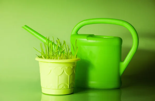 Grama verde em vaso e regador — Fotografia de Stock