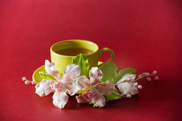 La taza de té verde — Foto de Stock