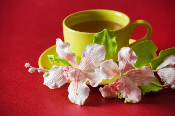 Die Tasse grünen Tee — Stockfoto