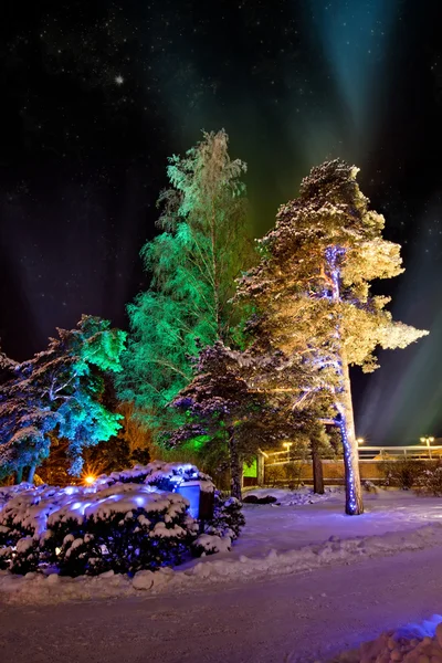 Les arbres dans des illuminations colorées à la nuit de Noël — Photo