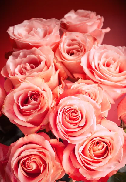 Achtergrond van roze rozen — Stockfoto