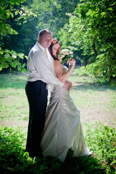 Retrato Recém Casados Ensolarado Parque Verão — Fotografia de Stock