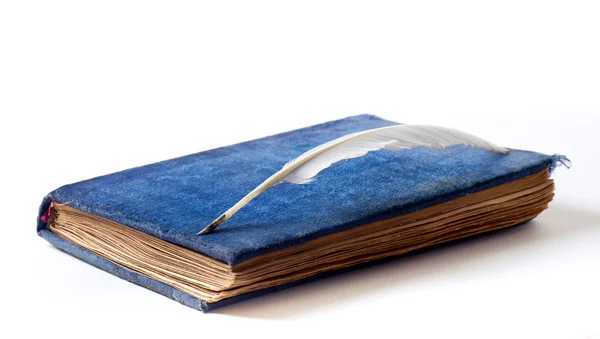 Antika kadife kitap — Stok fotoğraf