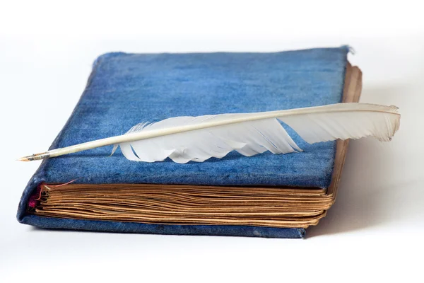 羽ペンを白で隔離されるアンティーク ブルー ベルベットの写真アルバム — ストック写真