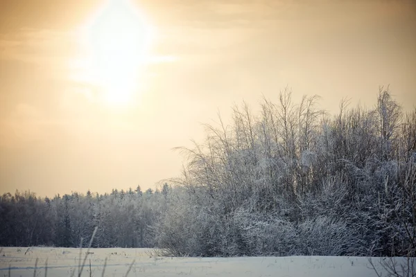 Zimowy Krajobraz Wieczorem Słoneczny Moscow Region — Zdjęcie stockowe