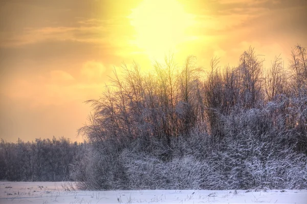 Winterlandschap Zonnige Avond Moskou Regio — Stockfoto