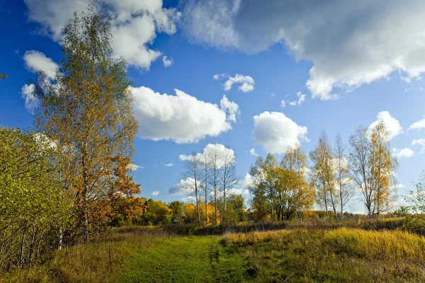 Panoramalandschaft Des Sonnigen Herbstfeldes Mit Waldfluss — Stockfoto