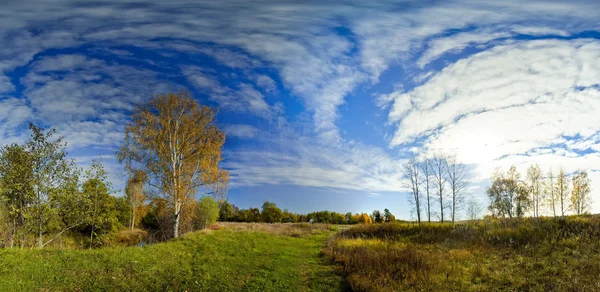 Panoramatické Krajiny Slunečného Podzimního Pole Lesní Řeka — Stock fotografie