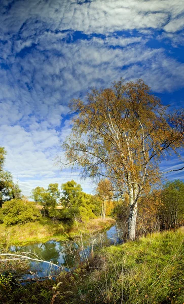 Panoramiczny Pejzaż Słoneczny Pola Jesień Las Rzeka — Zdjęcie stockowe