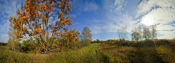 Panoramalandschaft Des Sonnigen Herbstfeldes Mit Waldfluss — Stockfoto