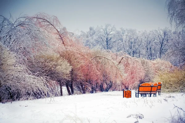 Winter park — Stock fotografie
