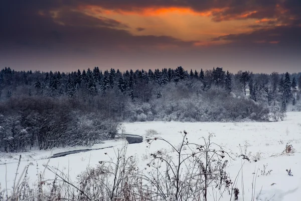 日落时的冬季风景 — 图库照片