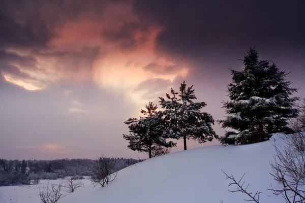 Vinterlandskap vid solnedgången — Stockfoto