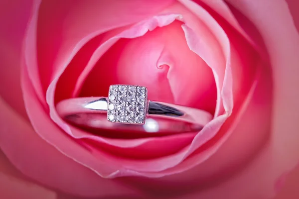 Primer plano de rosa rosa con anillo de diamantes —  Fotos de Stock
