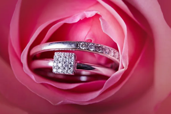 Primer plano de rosa rosa con anillos de diamantes —  Fotos de Stock