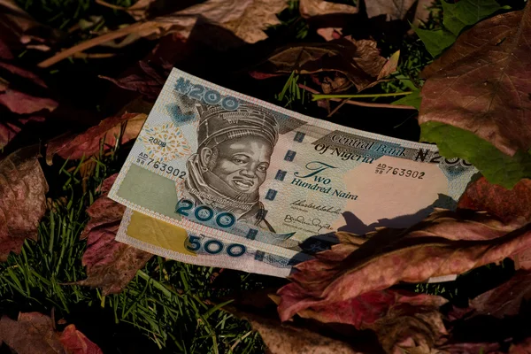 잎 바탕에 두 개의 nairaz 지폐 — 스톡 사진