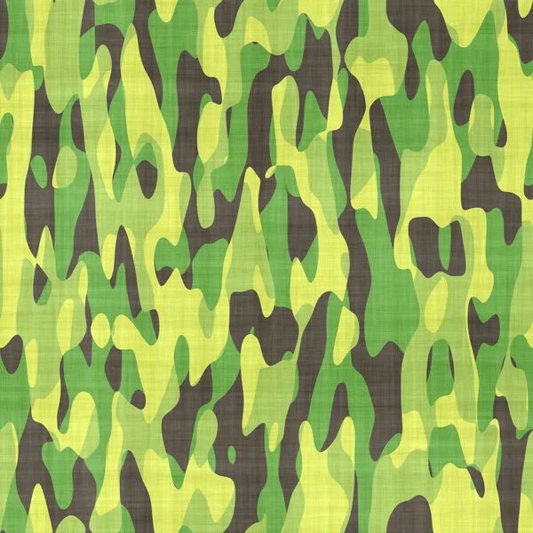 Modèle de camouflage — Photo