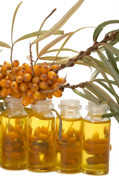 Olio di bacche di olivello spinoso . — Foto Stock
