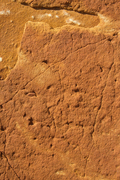 Creativity of the nature!