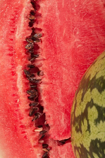 stock image Watermelon