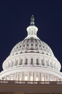 The United States Capitol at night clipart