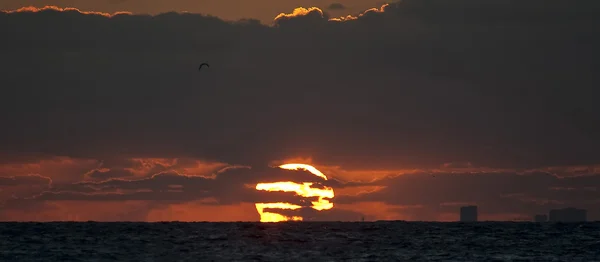Východ slunce na Karibik — Stock fotografie