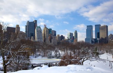 Central park, new york. güzel şehirde güzel park.