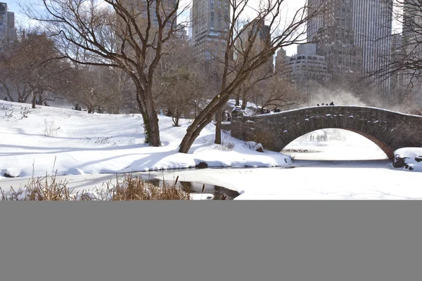 Central park, new york. krásný park v krásném městě. — Stock fotografie