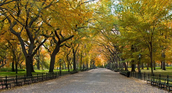 센트럴 파크, 뉴욕입니다. 아름 다운 도시에서 아름 다운 공원. — 스톡 사진