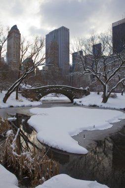 Central park, new york. güzel şehirde güzel park.