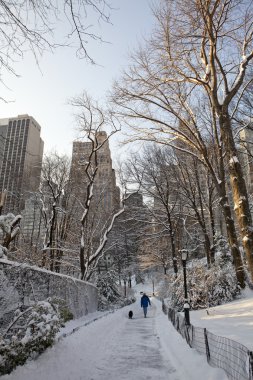 Central park, new york. güzel şehirde güzel park.