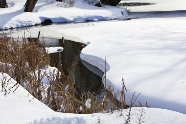 winter park Stream