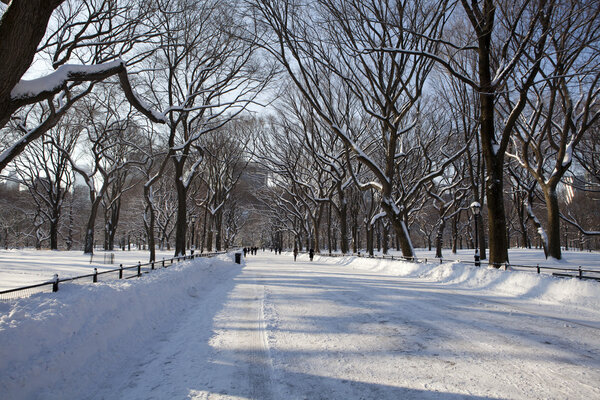 Central Park, New York. Beautiful park in beautiful city.