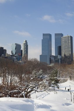 Central park, new york. güzel şehirde güzel park.