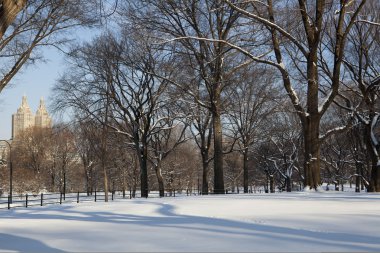 Central park, new york. güzel şehirde güzel park.