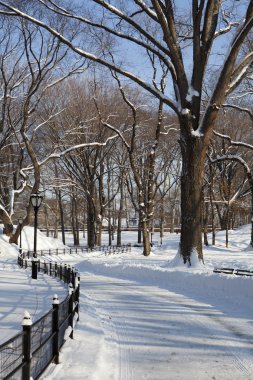 Central park, new york. güzel şehirde güzel park.