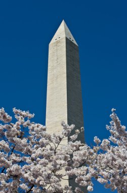 Washington Anıtı güneşli