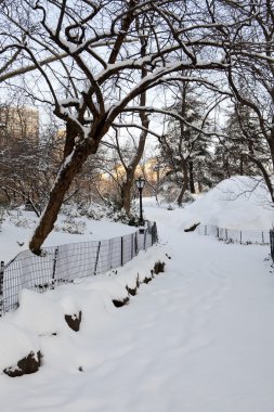 Central park, new york. güzel şehirde güzel park.