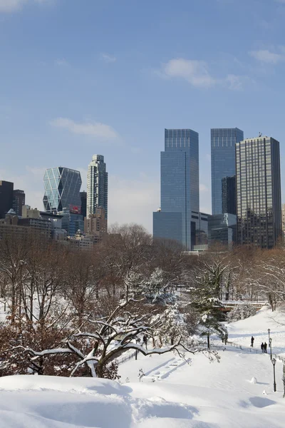 Центральный парк, Нью-Йорк. Красивый парк в красивом городе . — стоковое фото
