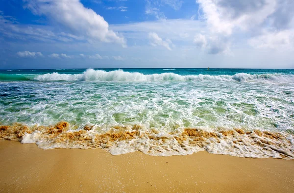 Wellen am schönen goldenen Strand — Stockfoto